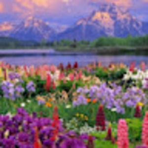 Meet your Posher, Cc